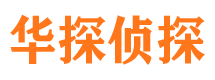 南部寻人公司